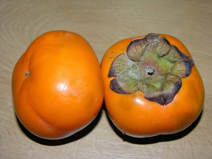 Дикая хурма кавказская