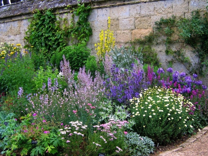 English cottage garden
