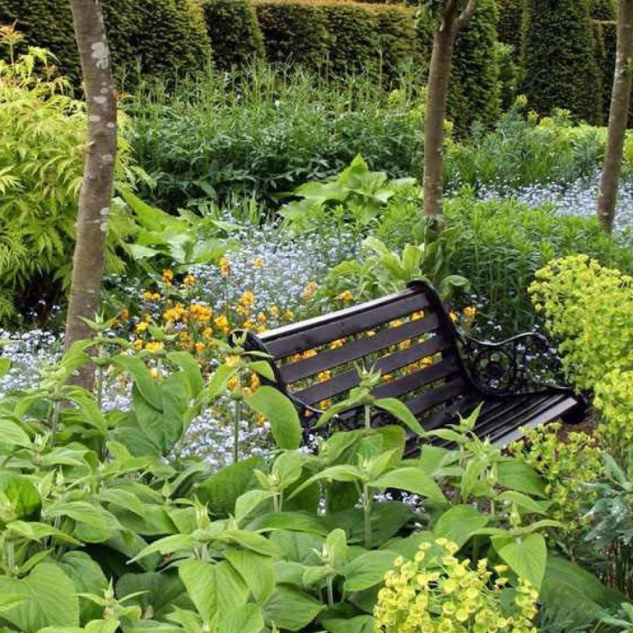 Скамейка в саду