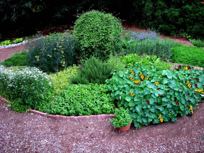 Сад пряных трав