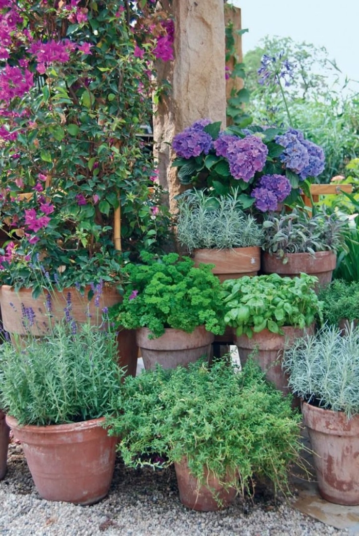 Container garden ideas