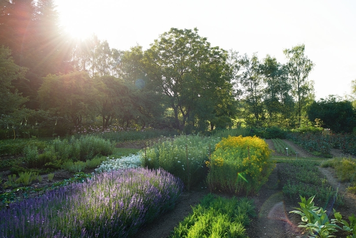 Пит удольф сады
