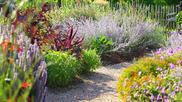 Миксбордер аптекарский огород