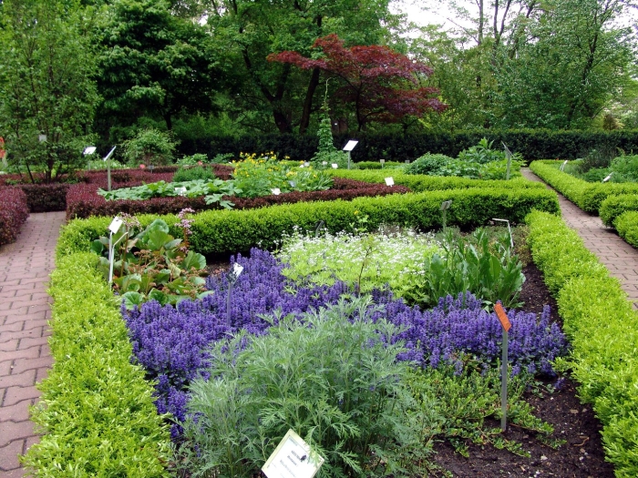 Ботанический сад амстердам