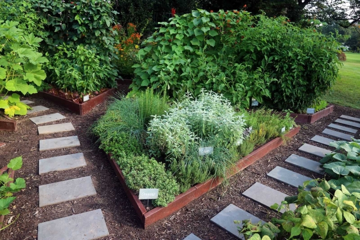 Грядки в саду