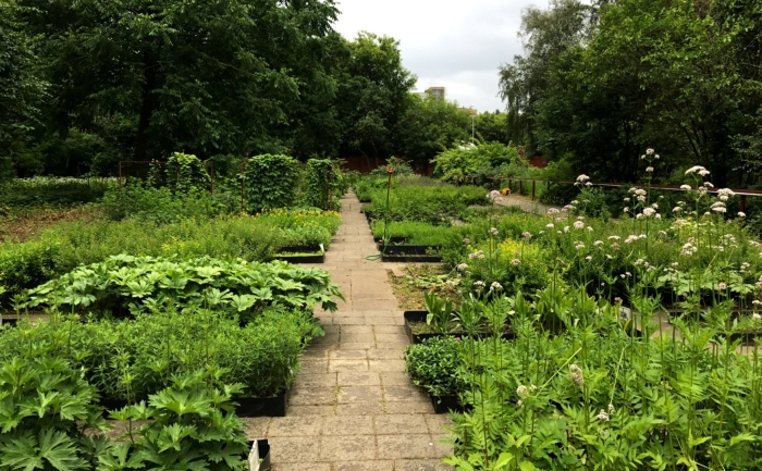 Ботанический сад мгму сеченова