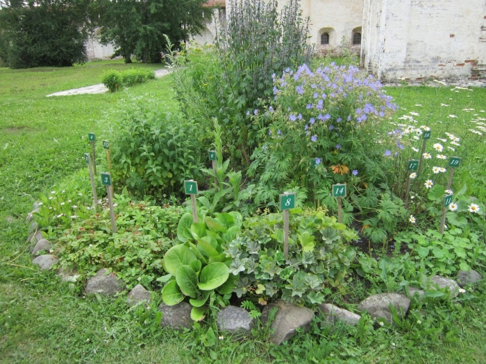 Клумба с пряными травами