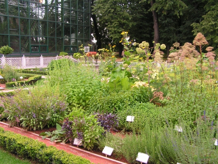 Ботанический сад аптекарский огород