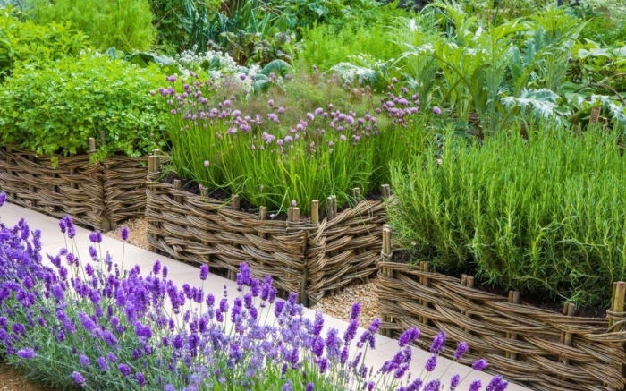 Клумба с розмарином и лавандой