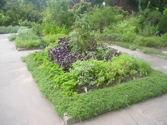 Herb garden design