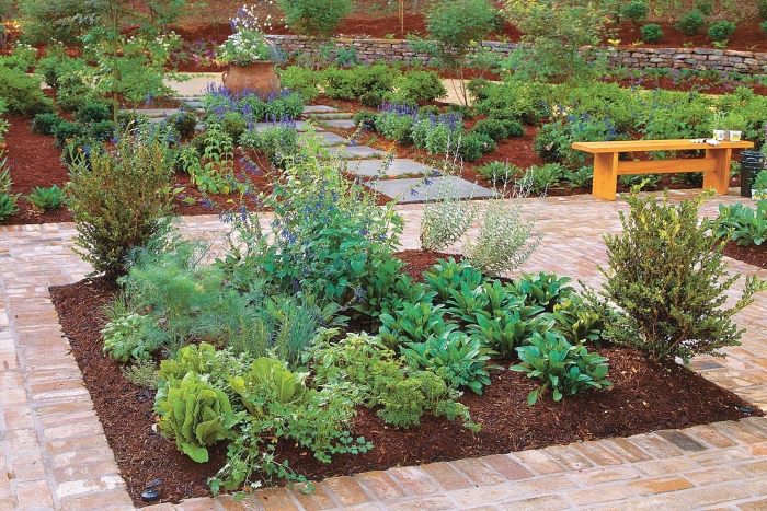 Vegetable garden design