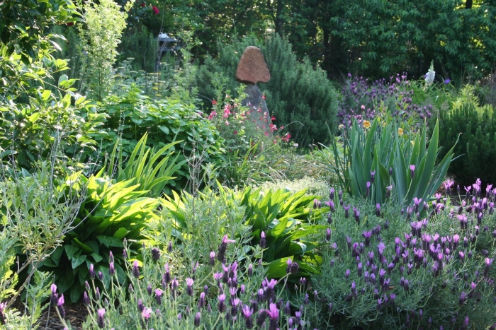 Малоуходный сад ландшафтный дизайн