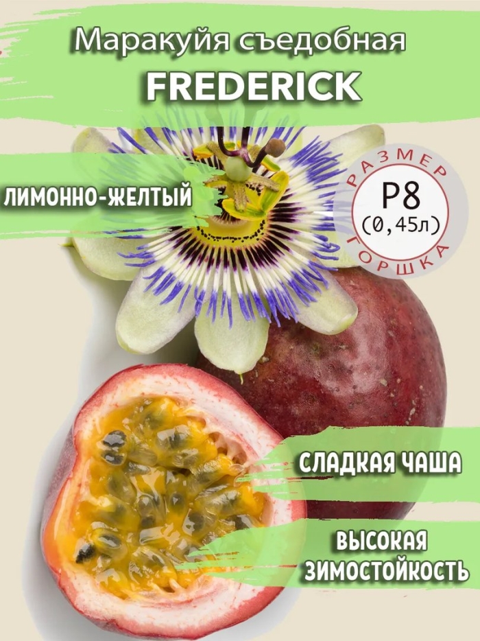 Маракуйя пассифлора фрукт