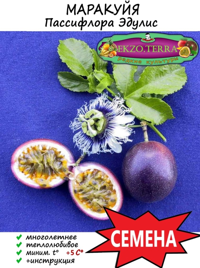 Семена пассифлора