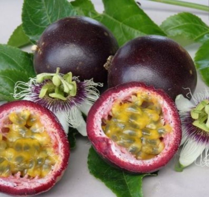 Пассифлора плоды съедобные