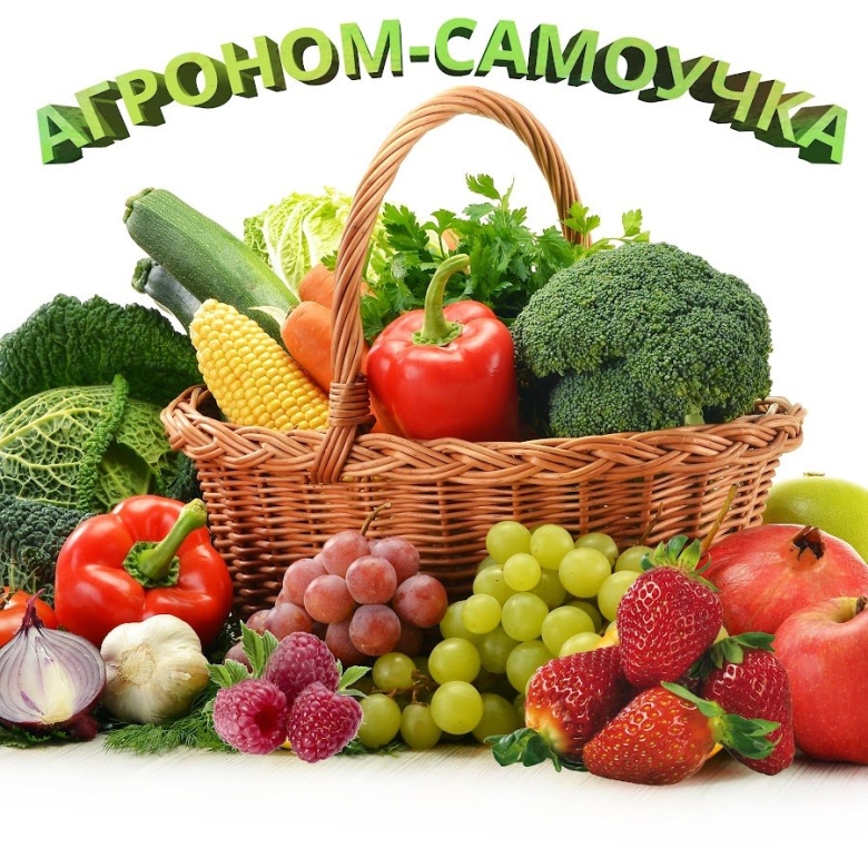 Овощи и фрукты полезные продукты