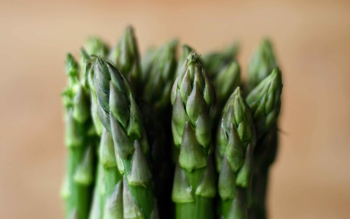 Растение спаржа