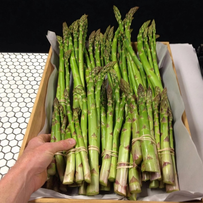 Аспарагус спаржа садовая