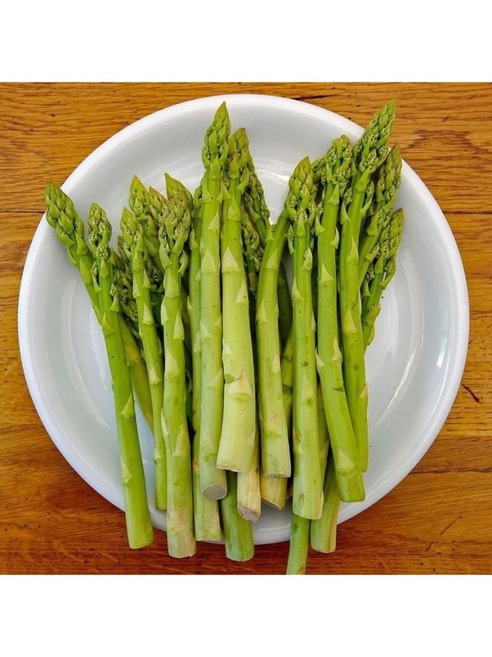 Аспарагус спаржа