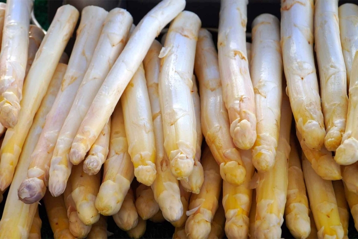 Спаржа морская