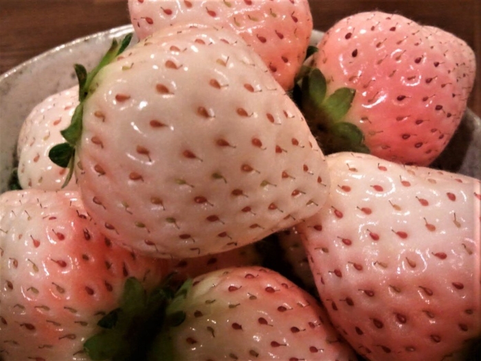 Сорт клубники