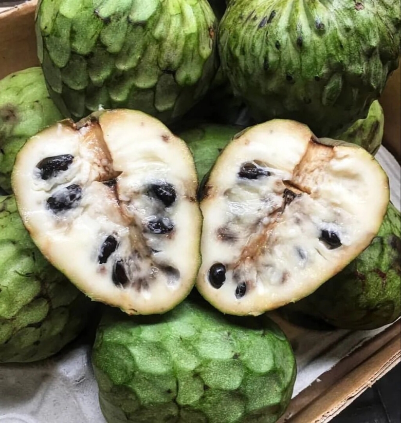 Испанский фрукт черимойя