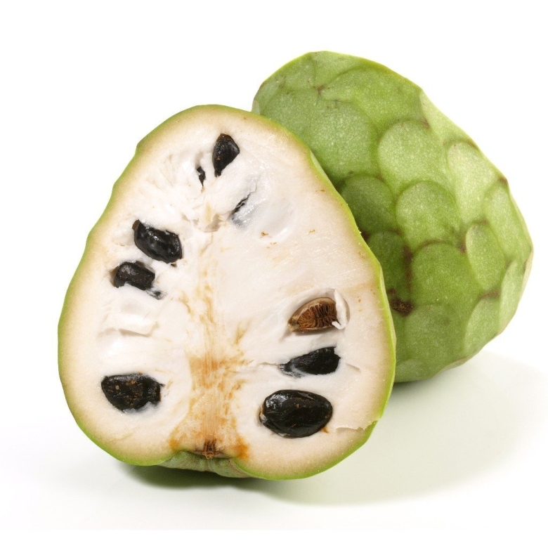 Черимойя в домашних условиях