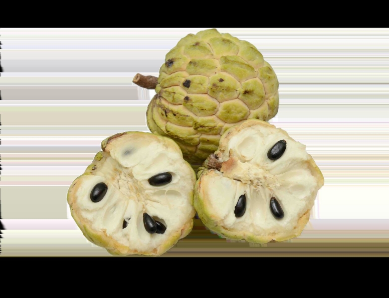 Аннона сахарное яблоко