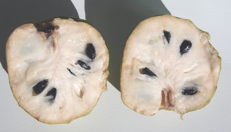 Черимойя в разрезе