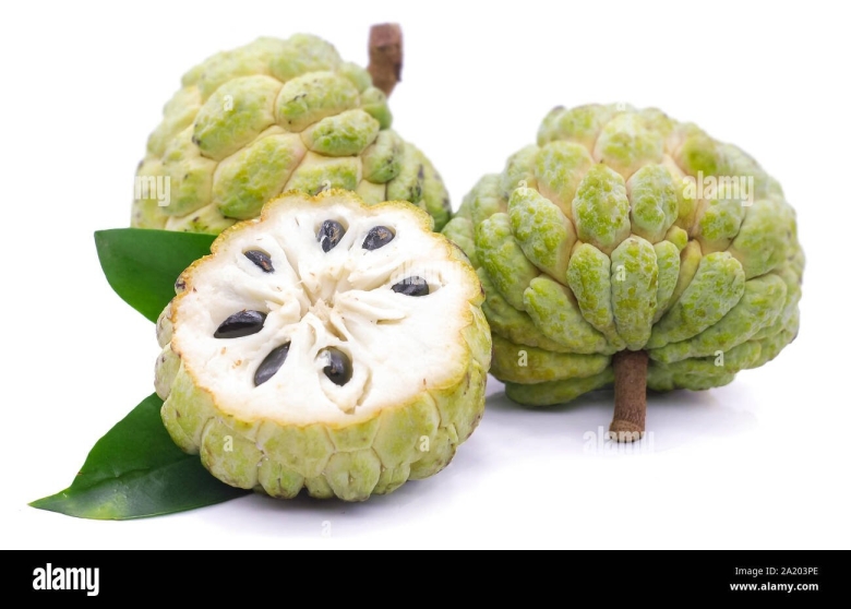 Аннона сахарное яблоко