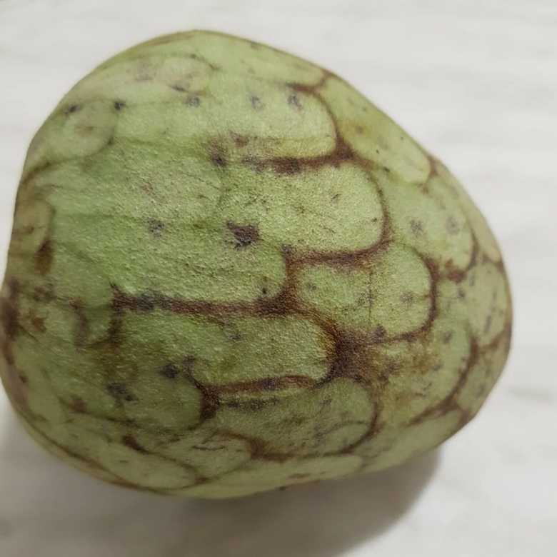 Фрукт черимойя