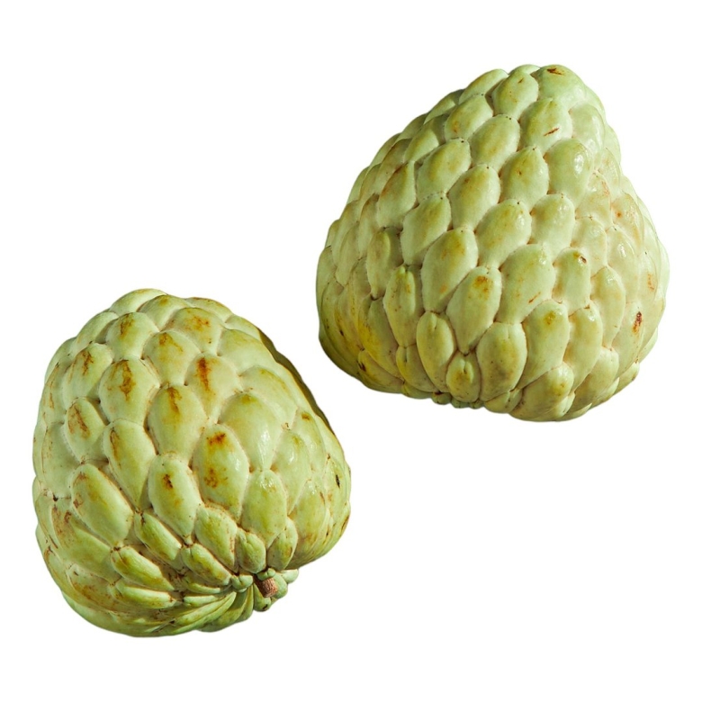 Аннона черимойя