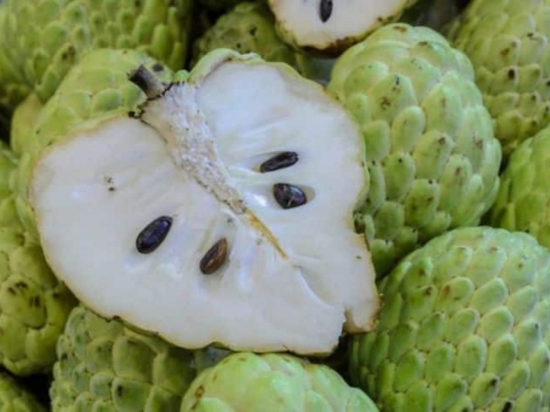 Фрукт гуанабана