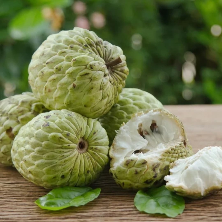 Сахарное яблоко Эшта