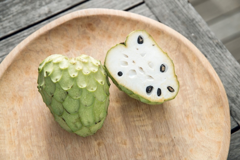 Черимойя дерево