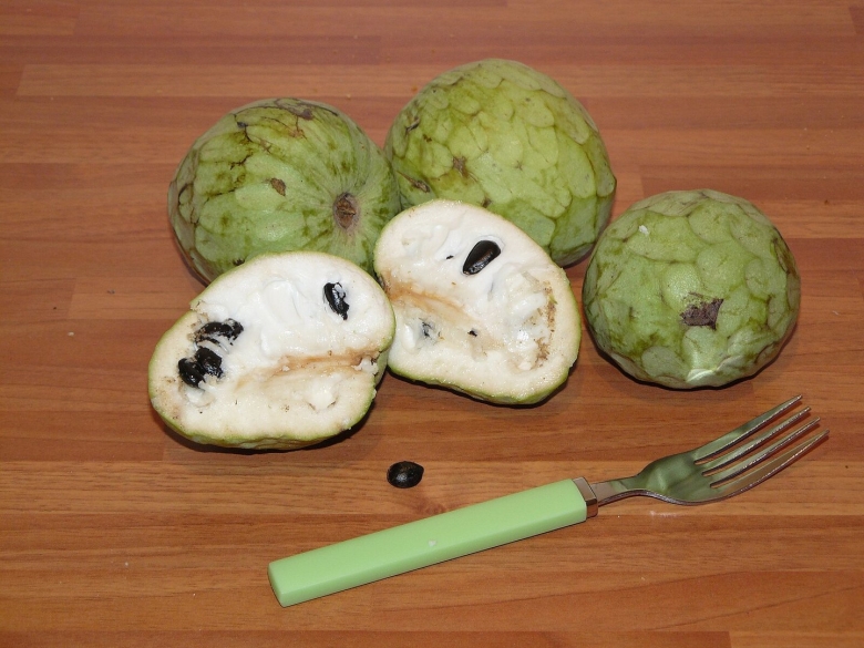 Аннона черимойя