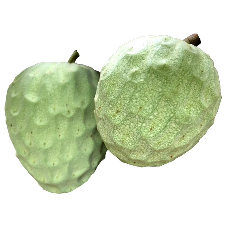 Черимойя карточка