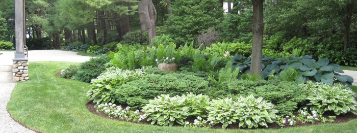 Ландшафтный дизайн в лесном стиле