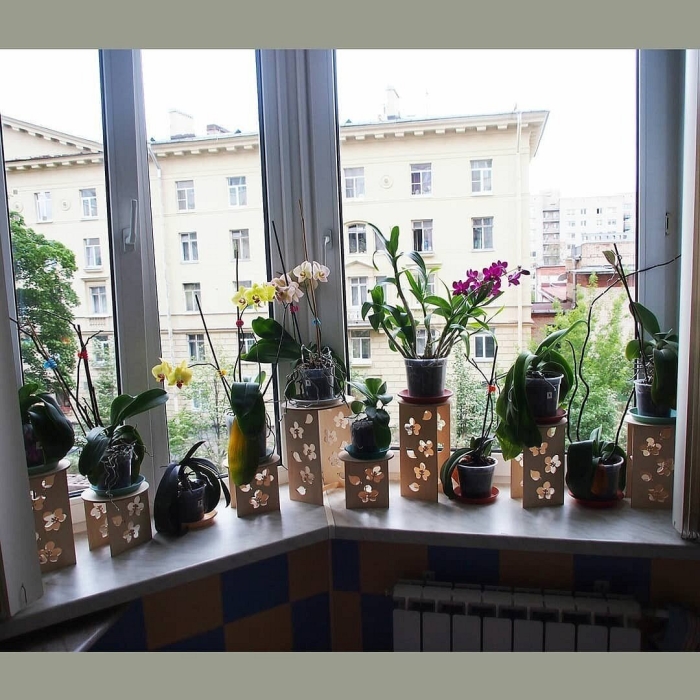 Окно с цветами на подоконнике