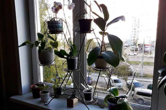 Подставки для комнатных цветов на подоконник