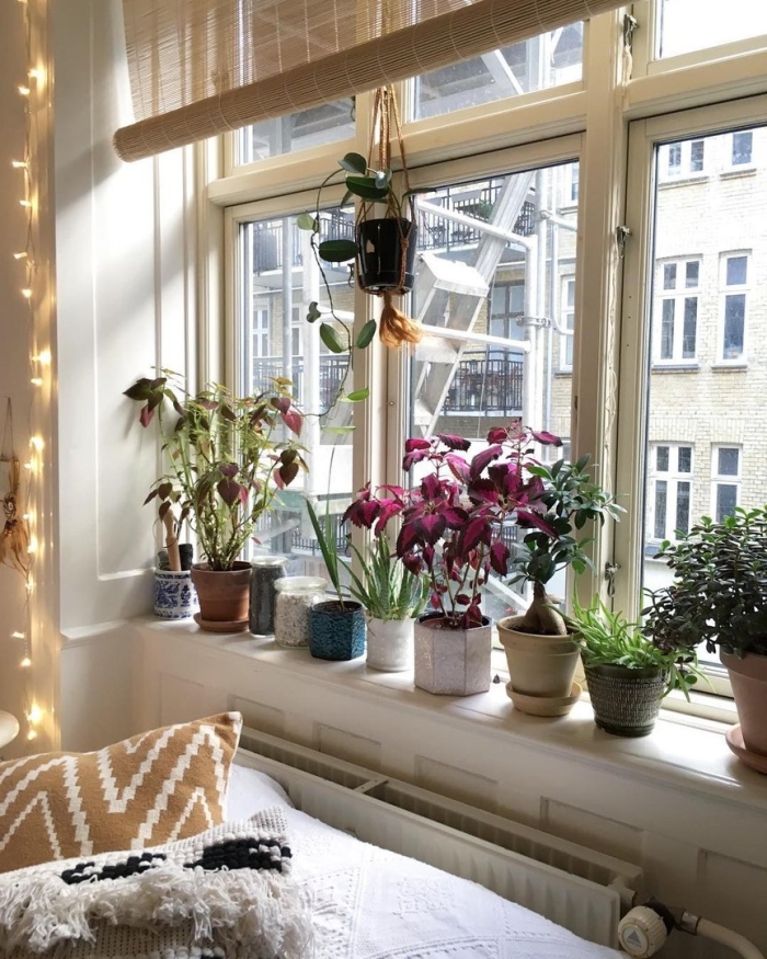 Подоконник с цветами