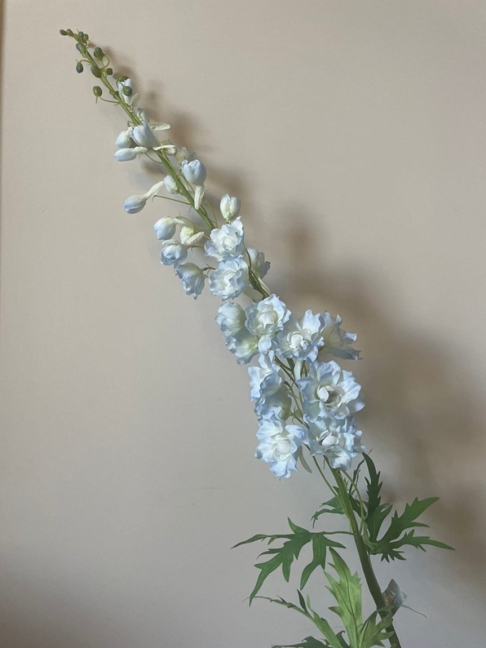 Дельфиниум белый