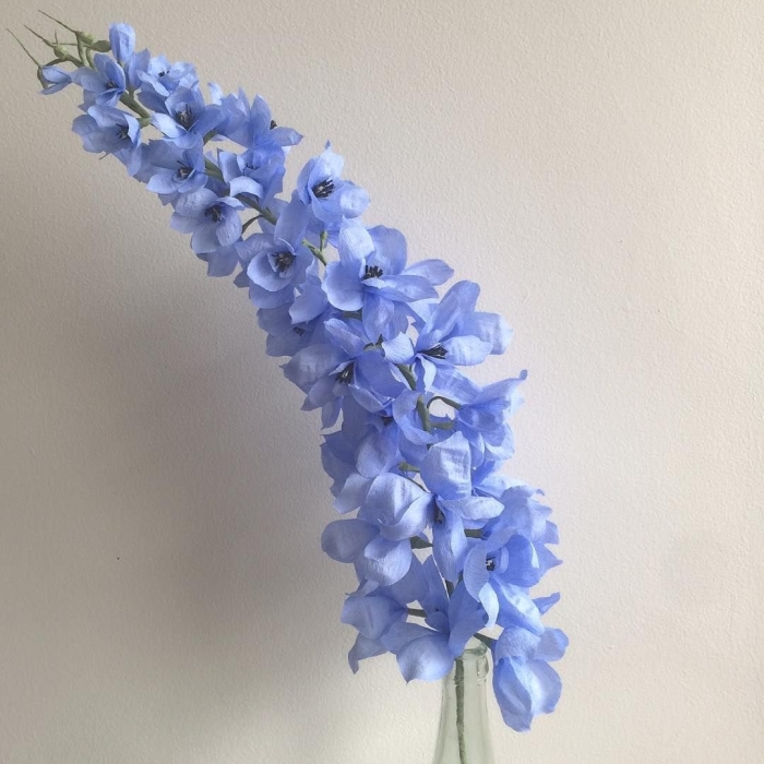 Дельфиниум голубой срезка