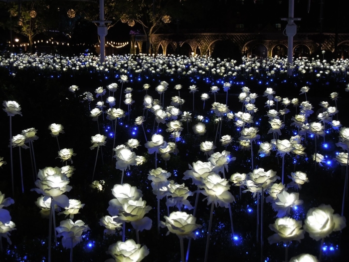 Светящиеся цветы