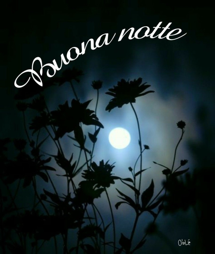 Растения ночью