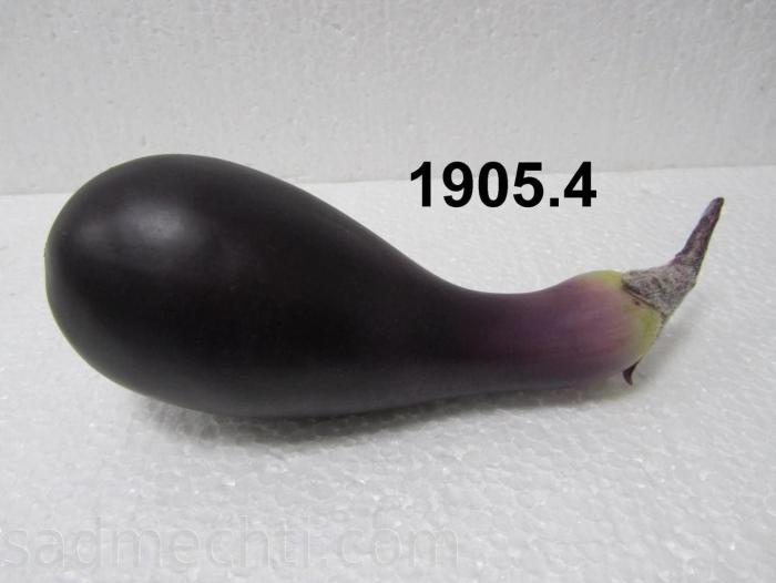 Баклажан овощ