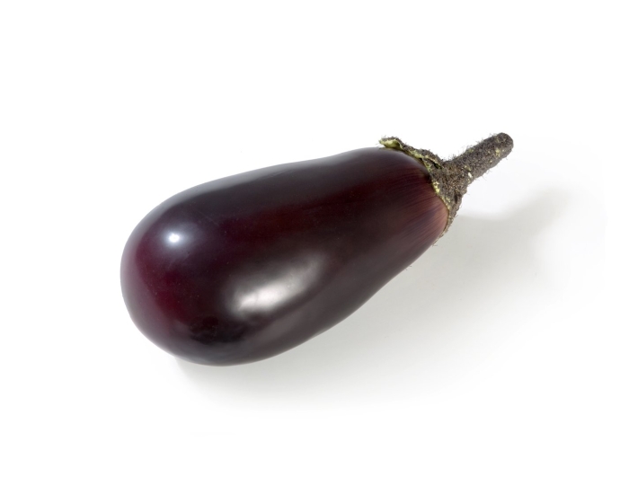 Баклажан искусственный