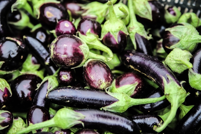 Aubergine eggplant