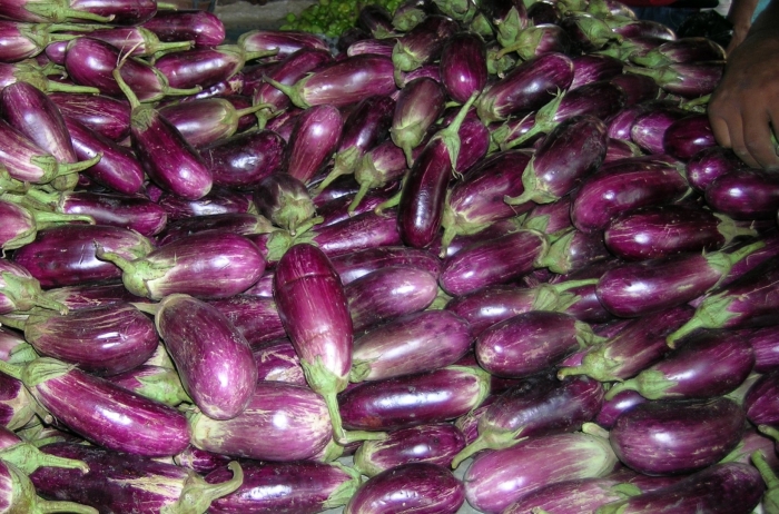 Баклажан галич