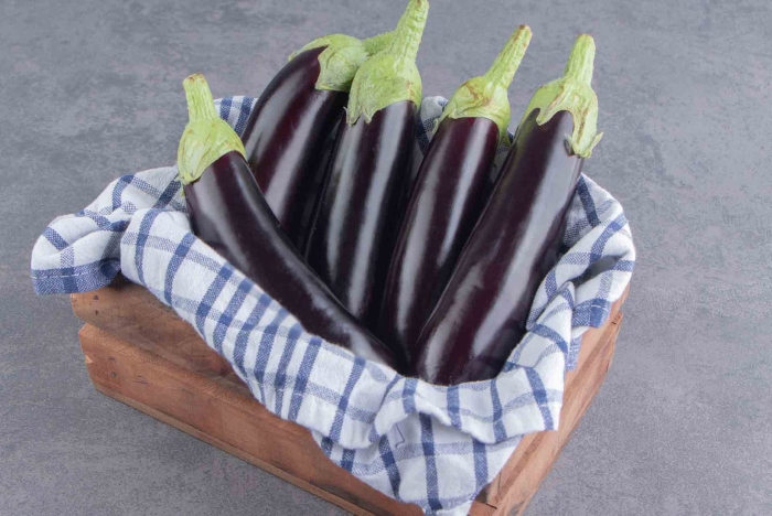 Баклажан большой